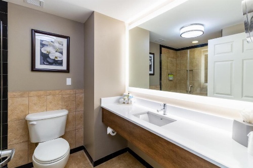 Holiday Inn Express Savannah - Historic District image 19